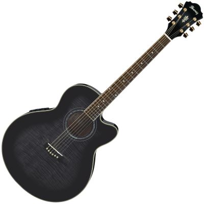 Ibanez ael20e deals