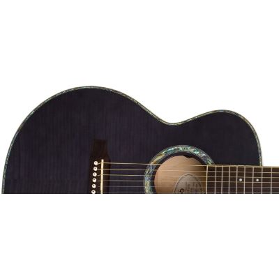 Epiphone on sale performer me