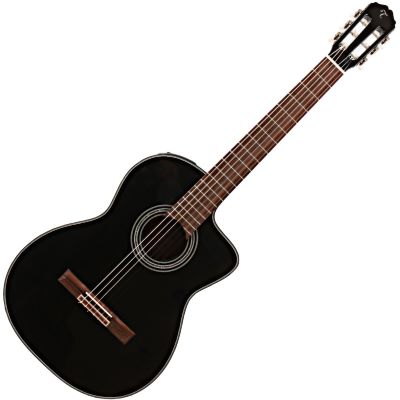 Takamine EC124SC BL | music store