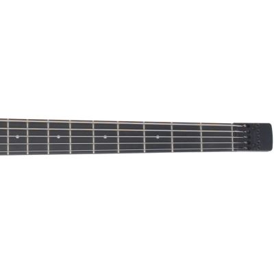 Steinberger Synapse XS-15FPA Custom TL | music store