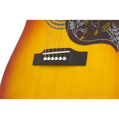 epiphone hummingbird pro fcb