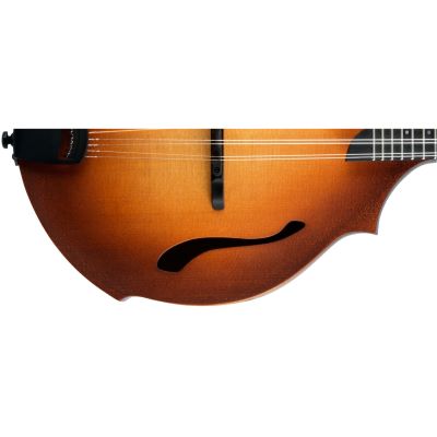 breedlove premier ff mandolin