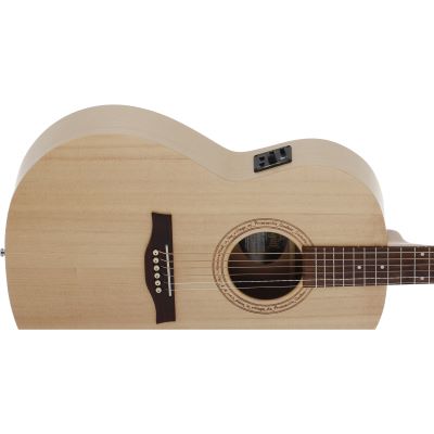 Seagull excursion online natural folk sg