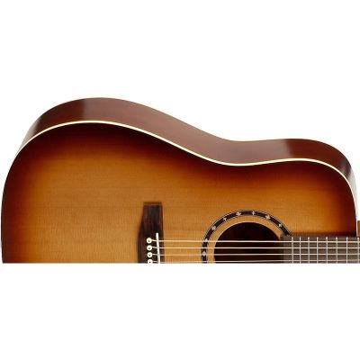 taylor t5z pro tobacco sunburst T5z Pro, Tobacco Sunburst