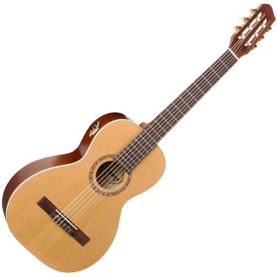 ami nylon cedar guitar