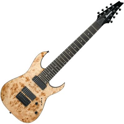 アイバニーズRG8PB